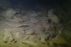 FOSSILS MEXICAN CAVE