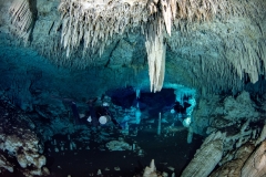 GUIDED CAVE DIVES