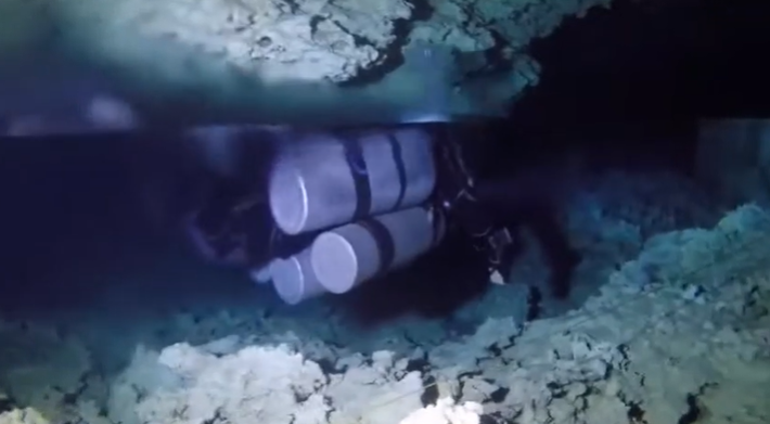 HALOCLINE GHOST DIVERS