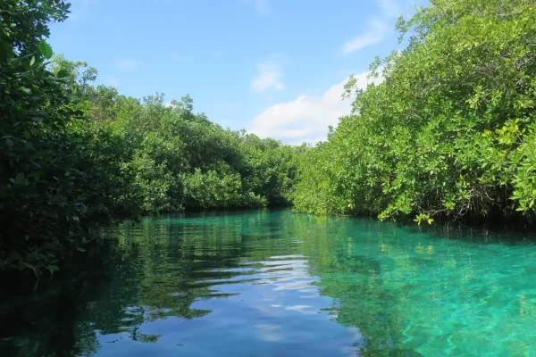 Tulum Cave Diving Training in Mexico Riviera Maya