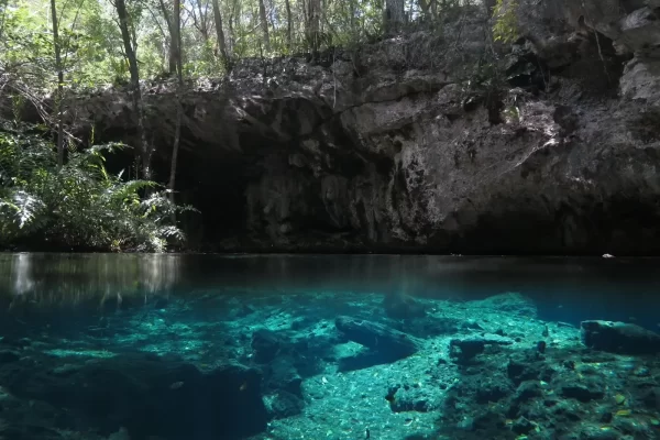 Tulum Cave Diving Training in Mexico Riviera Maya